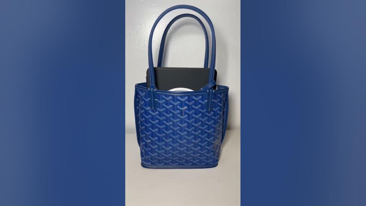 Spotlight on the Goyard Mini Anjou Tote - PurseBop