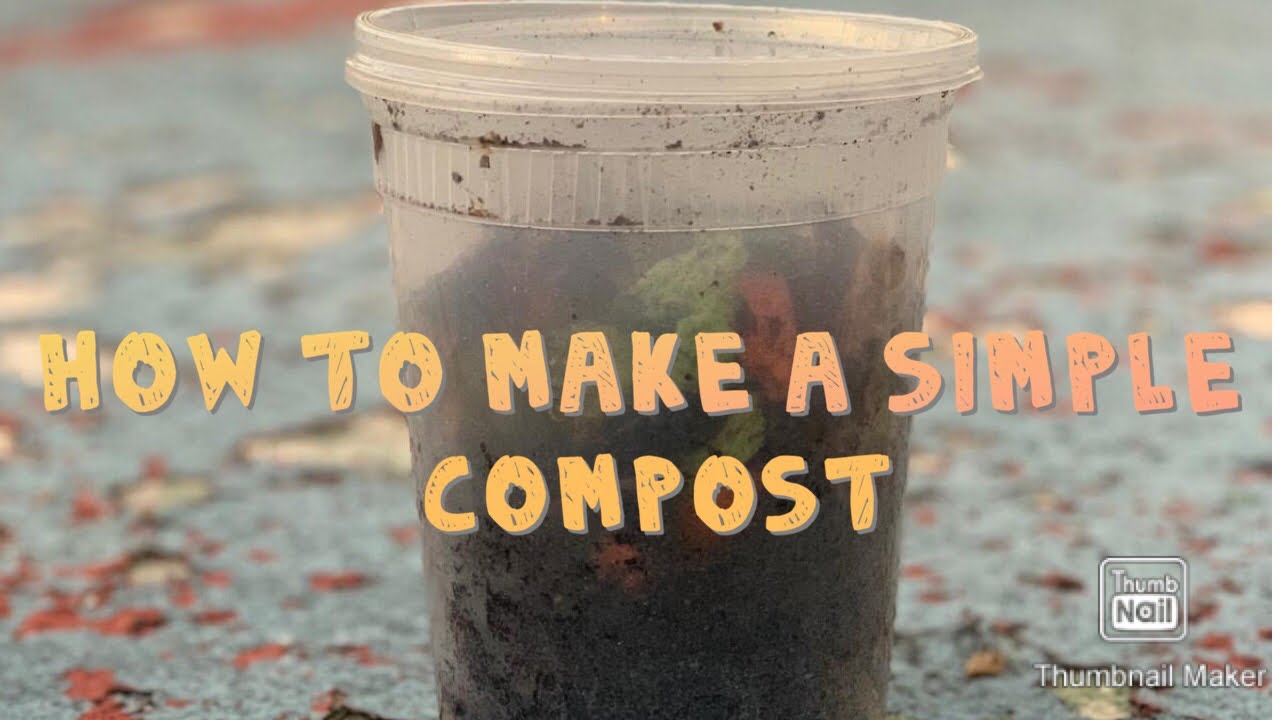 How To Make A Mini Compost At Home - YouTube