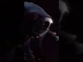 Œ Prototip Edit #comedy #edit #kesfet #trend #viral #funny #trending #trendingshorts