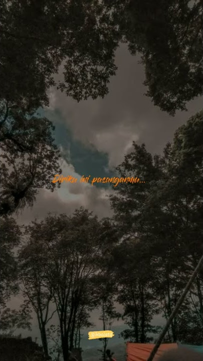 Story' WA armada - bebaskan diriku