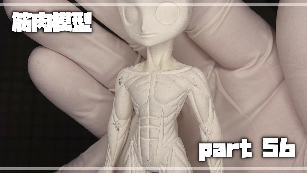 【フィギュア作り】筋肉模型 56