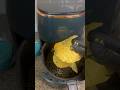 No Oil Papad | Papad in Air Fryer | Healty Snack Idea #airfryer #airfryerrecipes #shorts #easyrecipe