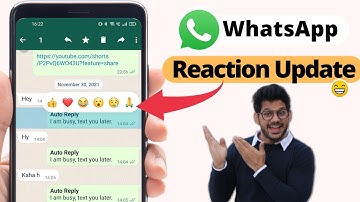 Whatsapp Reaction Update 2022 | Whatsapp reaction Feature