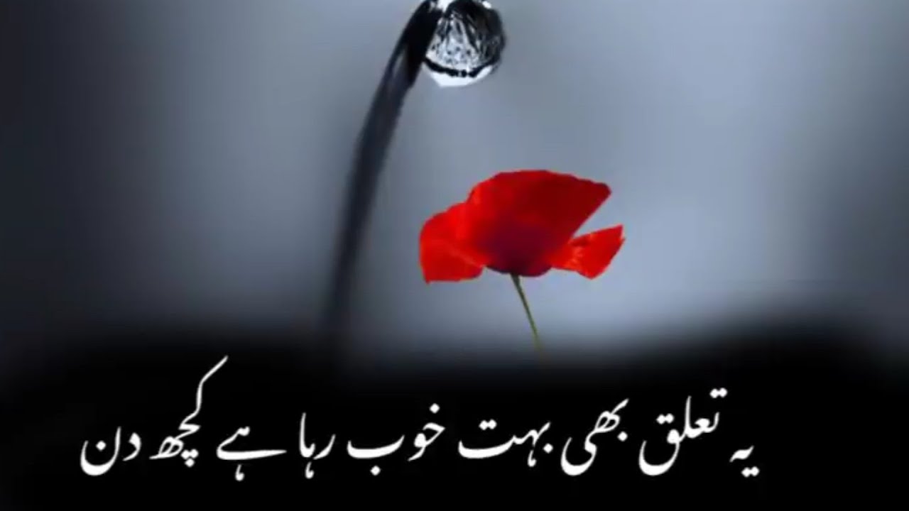 Heart Touching Poetry Shayari Status Deep line poetry Punjabi Status | Sad Status | WhatsApp status