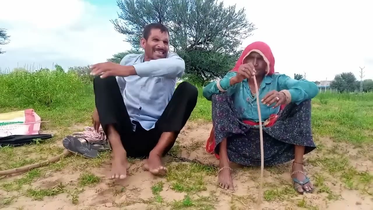 क्यारियां म रंजको बायो ए डोरा में ज्वार (राजस्थानी लोक गीत) #rajasthanigeetshekhawati 