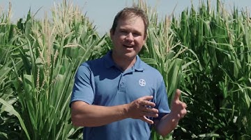 Variable Rate Irrigation - Era Study