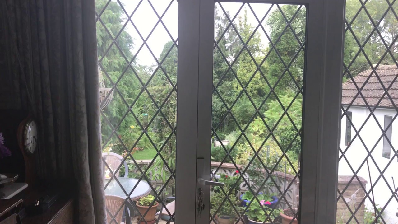 Wasp Nest Removal In Pinner HA5  - 020-8848-1254 For Same Day Wasp Control