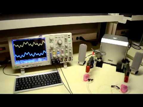 Printed Ear &#039;listens&#039; to music