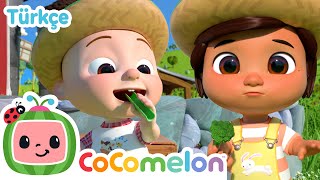 Haydi Sebzeleri Tadalım Cocomelon Türkçe Çocuk Şarkıları