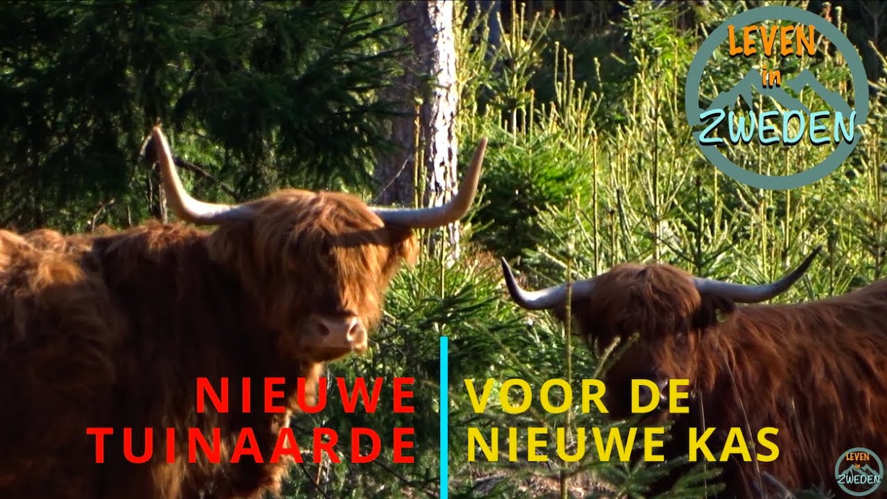 LEVEN IN ZWEDEN nieuwe tuinaarde voor de nieuwe kas