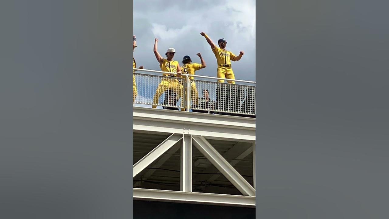 All Photos and videos from The Savannah Banana's Game in Cleveland, OH