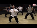 Qigong cinq animaux du wudang christian rasotto