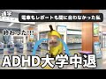 【ADHD】大学中退した話(猫ミーム 猫マニ)
