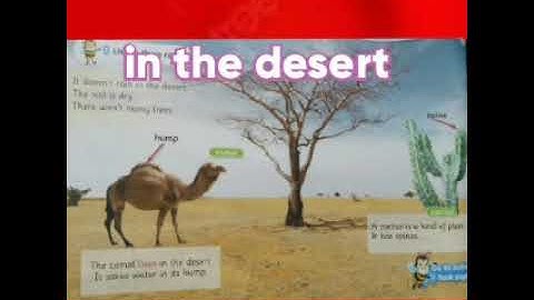 شرح منهج كونكت بلس kg1(unit7)part 2