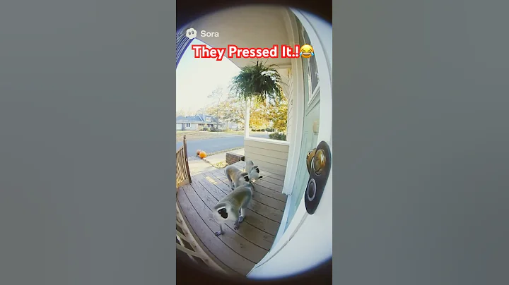 Caught on Cam: The Monkey Doorbell Incident😂#sora2 #funny #doorbell #shorts #monkey