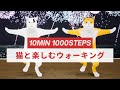 猫と歩こう🐾10分1000歩のウォーキング😸