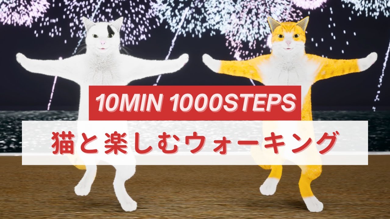 猫と歩こう🐾10分1000歩のウォーキング😸