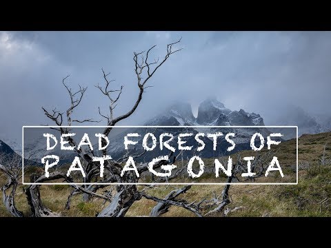 Video: Patagonia - Sự Tinh Tế Của Du Lịch