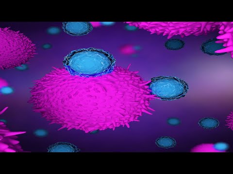 telemedicina cfm Los posibles blancos de la inmunoterapia contra el cáncer. Ponencia del Dr. Peter Taylor. L4