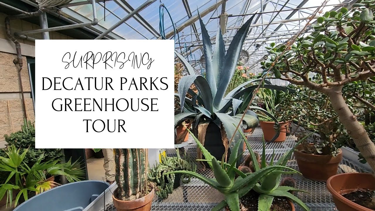 Exclusive Decatur Parks Greenhouse Tour Who knew there were 4 of