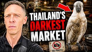 Inside Bangkok’s Bird Market… This Was Hard to Watch