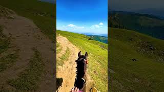 Horse Riding | Toli Peer | Shorts #shorts