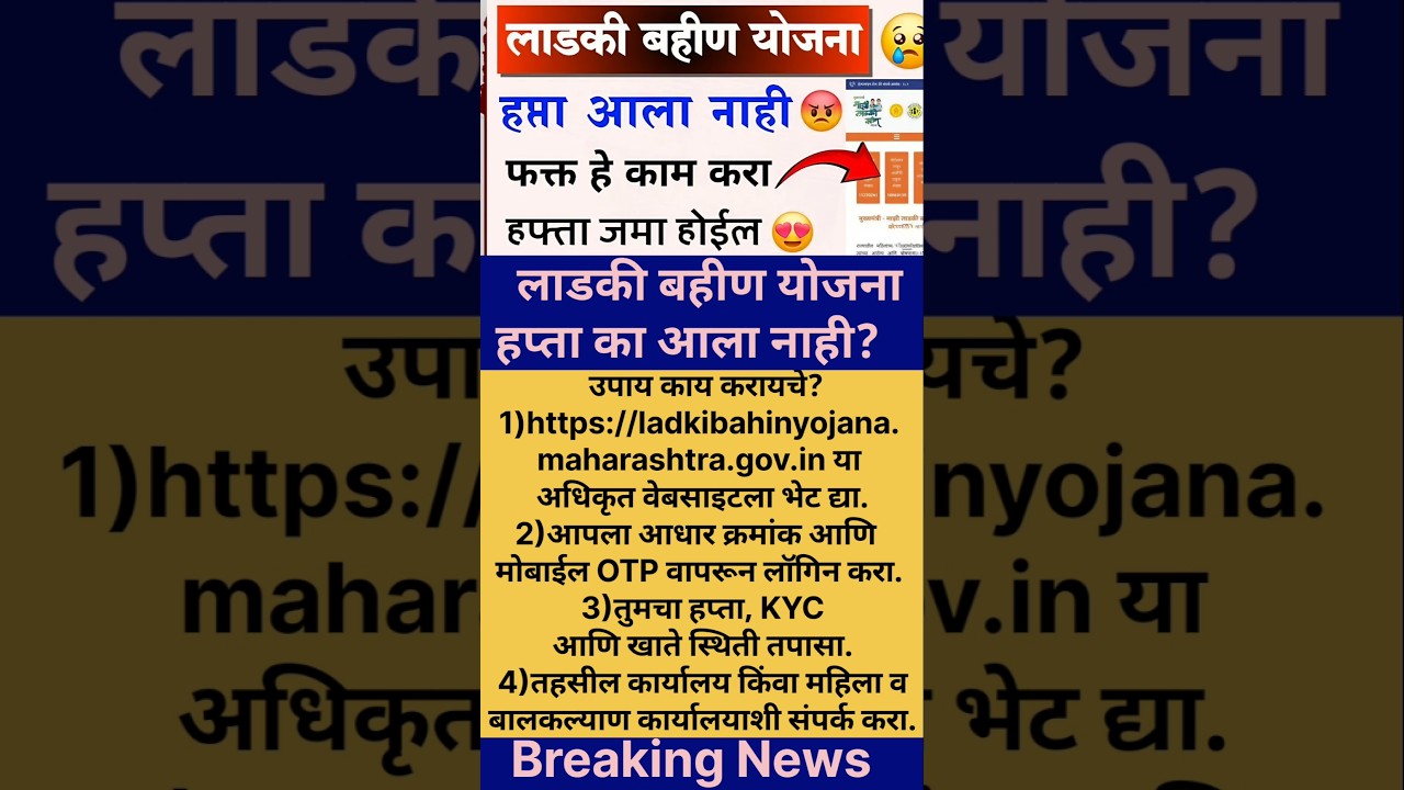 लाडकी बहीण योजना हफ्ता नाही आला काय करावे लागेल |ladaki bahin yojana hafta nahi aala