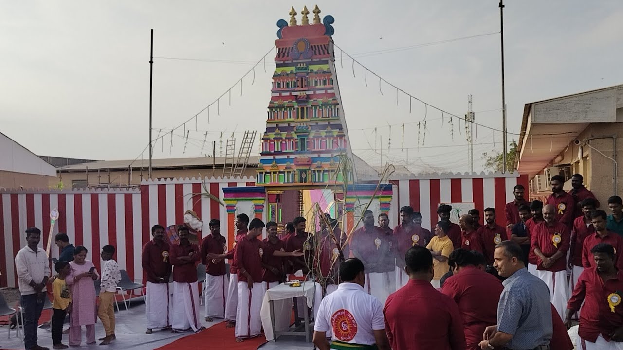 🔥ஜல்லிக்கட்டு திருவிழா🔥 