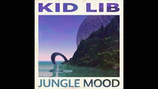 Kid Lib - Connections