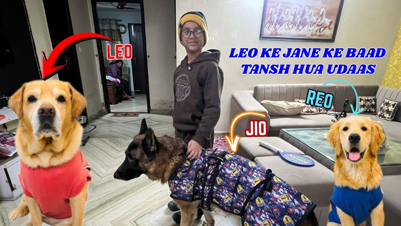 LEO ke Jane ke baad Tansh hua Udaas | Leni Padi Class | 