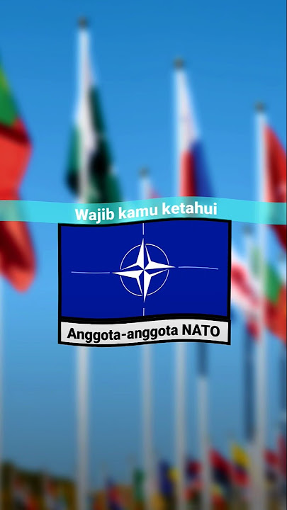 jj Anggota' NATO. next apa komen #nato#edits#country#fyp#shorts #negaradidunia
