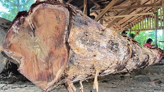 The process of sawing teak logs into jumbo blocks worth tens of millions at the sawmill 