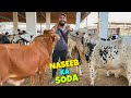 Naseeb ka soda hogaya  boht achi jori mil gai hamen 