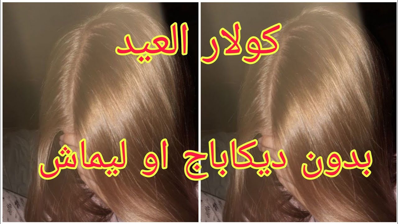 ميلونج اندريا دوتي الي دار ضجة كبيرة 💥بلا ديكاباج بلا ليماش تخرجلك هبال نتاع الدنيا 