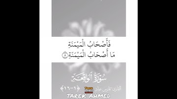 حالات واتس قرانيه سوره الواقعه للقارئ الشيخ فارس عباد تلاوه خاشعه