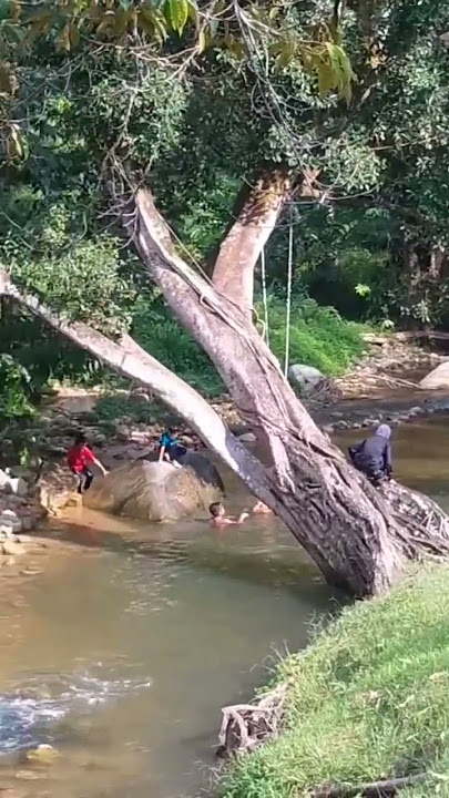 https://vt.tiktok.com/ZSLXPSmyE/ #kampunghalaman
