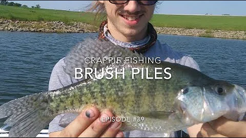 CRAPPIE FISHING BRUSH PILES WITH MINNOWS