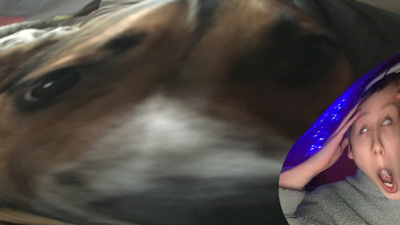 ryders evil discovery at 3am