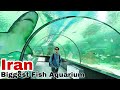 Iran biggest fish aquarium isfahan  pak to iran by road  umer sabir 