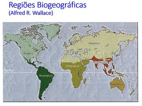 Vídeo: Qual é o conceito de biogeografia?