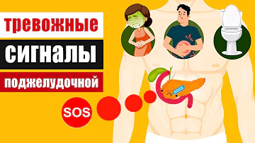 Сигналы SOS от поджелудочной железы или первые признаки панкреатита