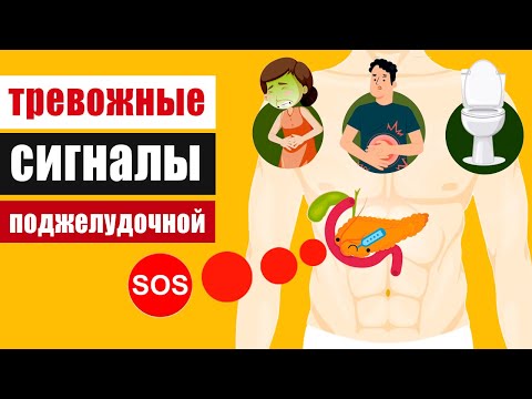 Video: Пит Зиптин себептерин түшүнүү