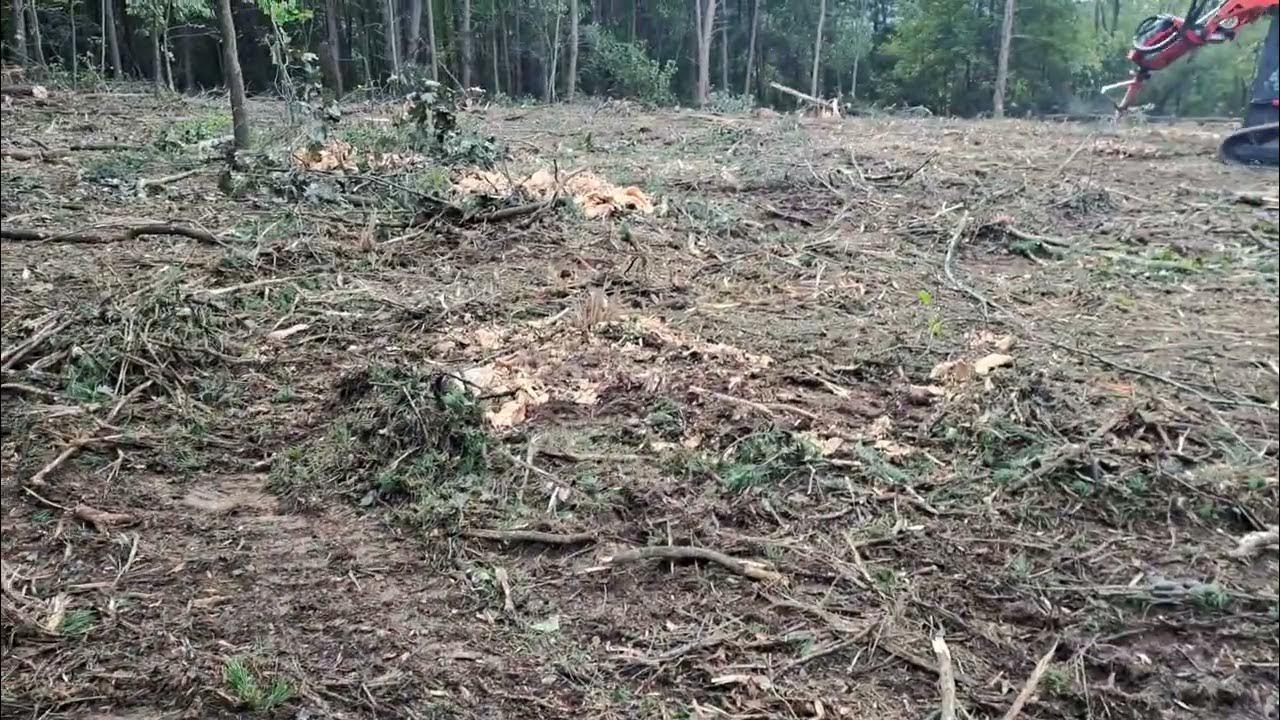 The Proper Way to Remove Stumps When Clearing a Plot YouTube
