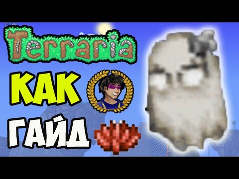 ЦВЕТОК АБИГЕЙЛ Террария (полный гайд) | Как найти Цветок Абигейл в Террарии