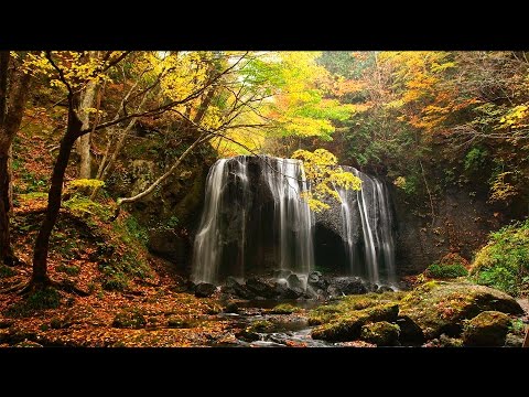 真作/月洲/紅葉瀑布図/秋景滝山水/掛軸☆宝船☆Y-345 真作】月洲/紅葉瀑布図/秋景滝山水/掛軸☆宝船☆Y-345 JM