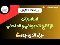 شرح محاضرة ١ دواجن اساسيات الانتاج الحيواني 