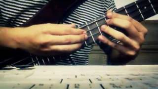 Boxer - Lan Su Kuam Fun (BASS COVER by AUT BOXER)