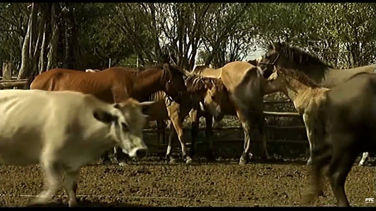 Šetnja kroz selo Brebevnica