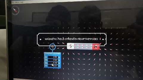 Magnetic Field Simulation