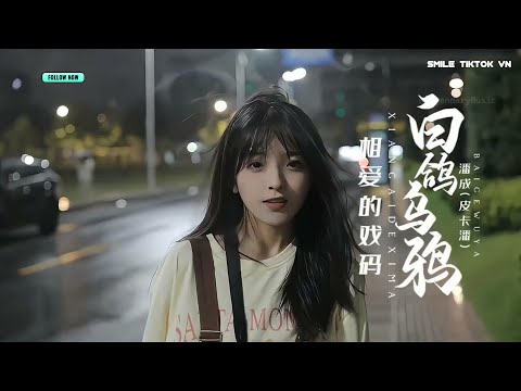 潘成 (皮卡潘)《白鸽乌鸦相爱的戏码》『白鴿烏鴉相愛的戲碼，只會出現在童話。』『动态歌词MV』